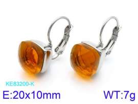 Stainless Steel Stone&Crystal Earring