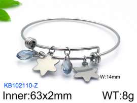Stainless Steel Bangle