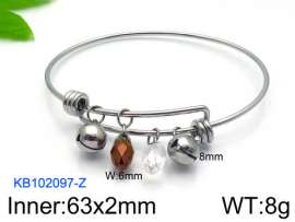 Stainless Steel Bangle