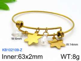 Stainless Steel Gold-plating Bangle