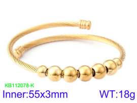 Stainless Steel Wire Bangle