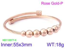 Stainless Steel Wire Bangle