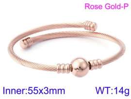 Stainless Steel Wire Bangle
