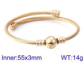 Stainless Steel Wire Bangle