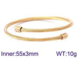 Stainless Steel Wire Bangle
