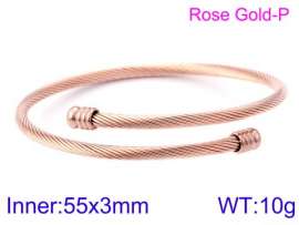 Stainless Steel Wire Bangle