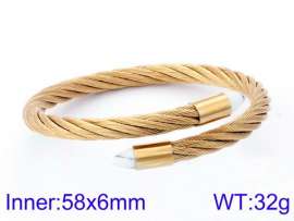 Stainless Steel Wire Bangle