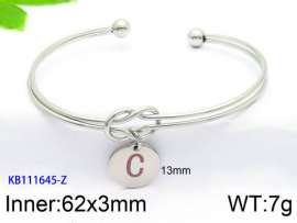 Stainless Steel Bangle