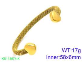 Stainless Steel Gold-plating Bangle