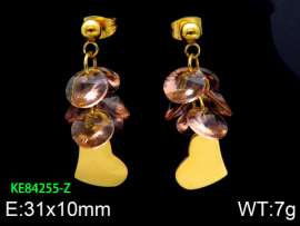 Stainless Steel Stone&Crystal Earring