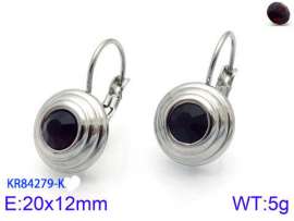 Stainless Steel Stone&Crystal Earring