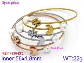 Stainless Steel Wire Bangle