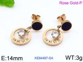 Stainless Steel Stone&Crystal Earring