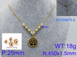 SS Jewelry Set(Most Women)