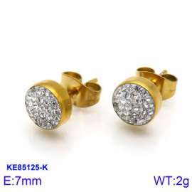 Stainless Steel Stone&Crystal Earring