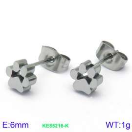 Stainless Steel Earring