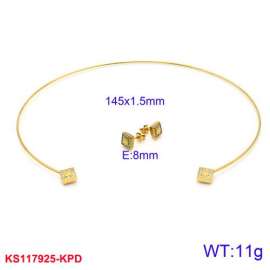 SS Jewelry Set(Most Women)