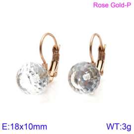 Stainless Steel Stone&Crystal Earring