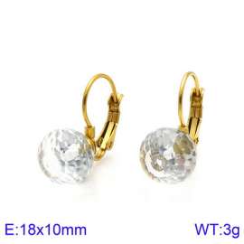 Stainless Steel Stone&Crystal Earring