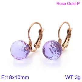 Stainless Steel Stone&Crystal Earring