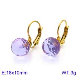 Stainless Steel Stone&Crystal Earring
