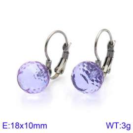 Stainless Steel Stone&Crystal Earring