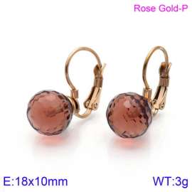 Stainless Steel Stone&Crystal Earring