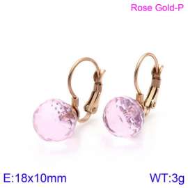 Stainless Steel Stone&Crystal Earring