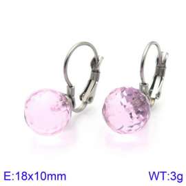 Stainless Steel Stone&Crystal Earring