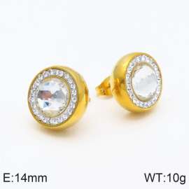 Stainless Steel Stone&Crystal Earring