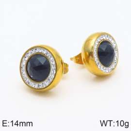 Stainless Steel Stone&Crystal Earring