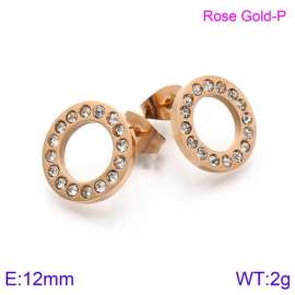 Stainless Steel Stone&Crystal Earring