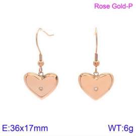 Stainless Steel Stone&Crystal Earring
