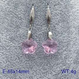 Stainless Steel Stone&Crystal Earring