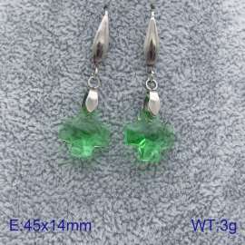 Stainless Steel Stone&Crystal Earring