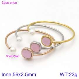 Stainless Steel Stone Bangle