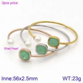 Stainless Steel Stone Bangle