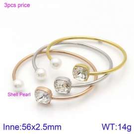 Stainless Steel Stone Bangle