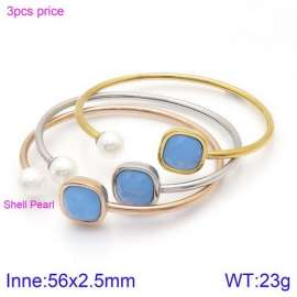 Stainless Steel Stone Bangle