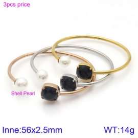 Stainless Steel Stone Bangle