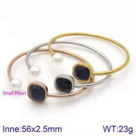 Stainless Steel Stone Bangle