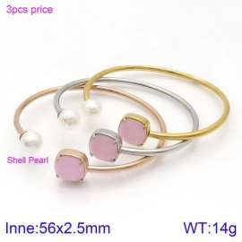 Stainless Steel Stone Bangle