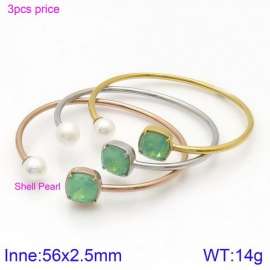 Stainless Steel Stone Bangle