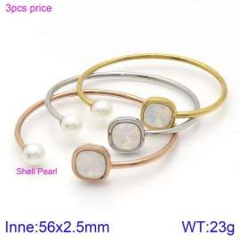 Stainless Steel Stone Bangle