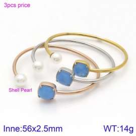 Stainless Steel Stone Bangle