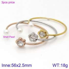 Stainless Steel Stone Bangle