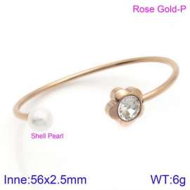 Stainless Steel Stone Bangle