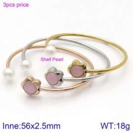 Stainless Steel Stone Bangle