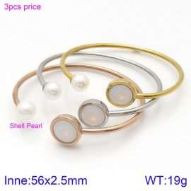 Stainless Steel Stone Bangle