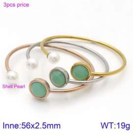 Stainless Steel Stone Bangle